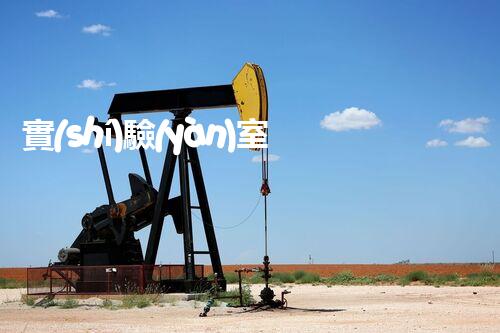 實(shí)驗(yàn)室廢水處理技術(shù)革新：環(huán)保之路何去何從？